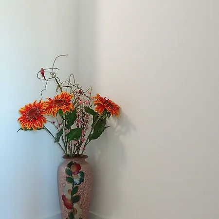 Casa Talika Pensjonat 3*