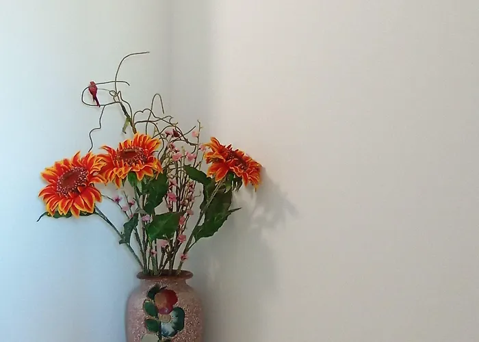 Casa Talika Penzion 3*